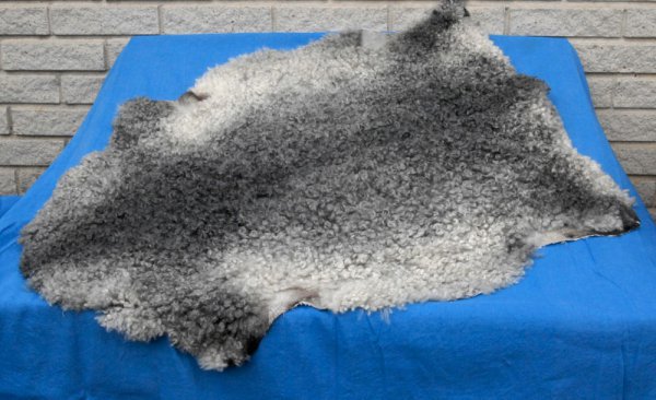 Lammskinn - top of line, medium grey, medium curl
