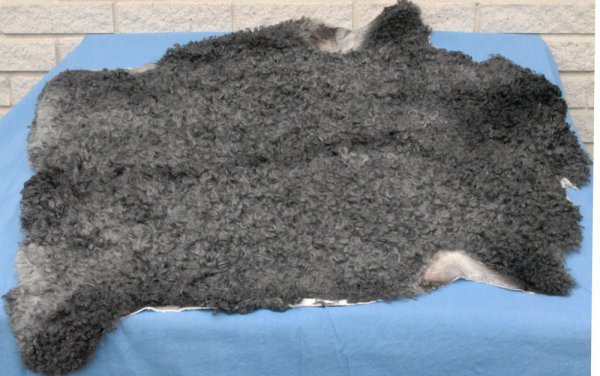 Lammskinn - top of line, medium dark grey, medium curl