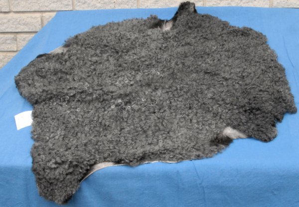 Dark grey skin, top of line, curled