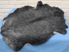 Heavy beautiful, dark grey skin, top of line, curled